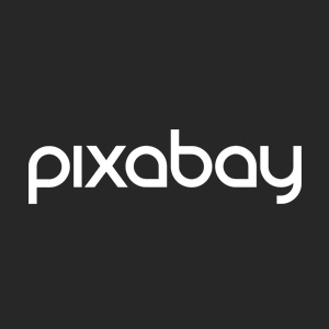Bezplatne zdjęcia Pixabay